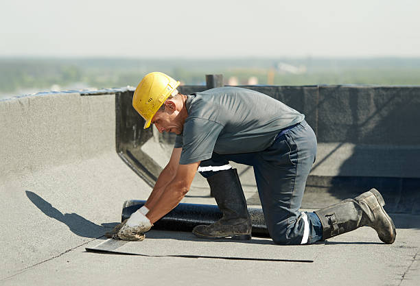 Best Home Insulation Services  in Elsmere, KY