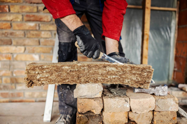 Best Insulation Repair Services  in Elsmere, KY
